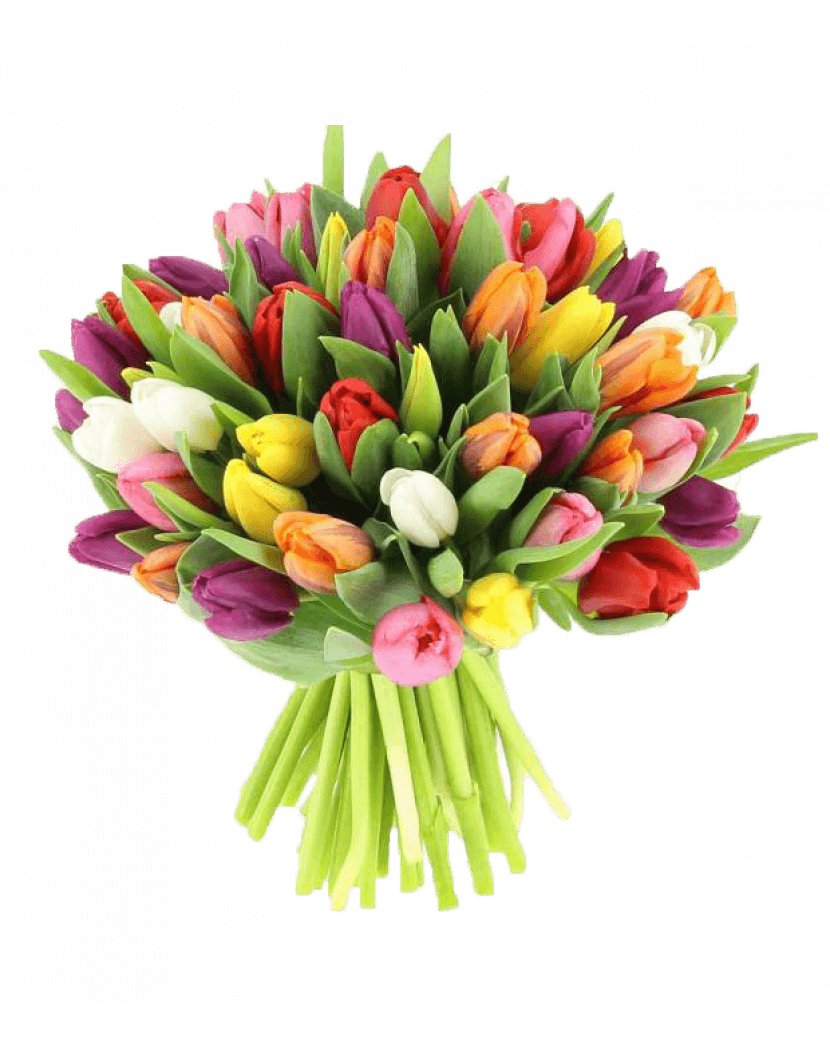 Barevné tulipány