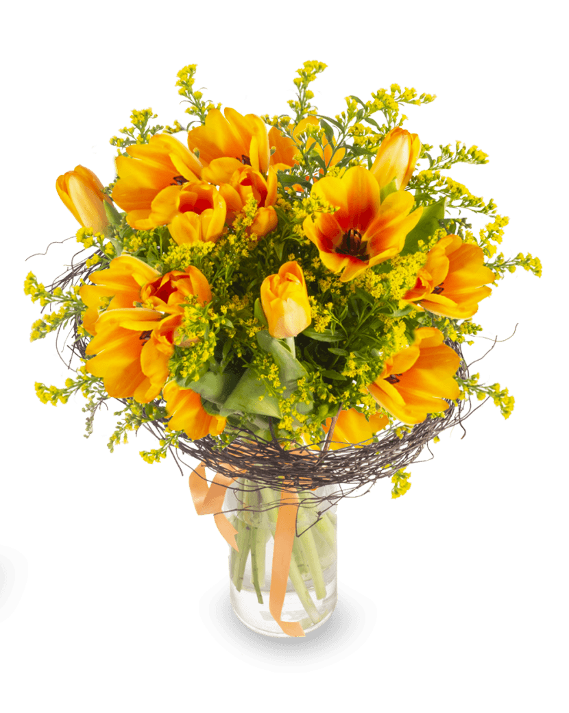 Puget oranžových tulipánů