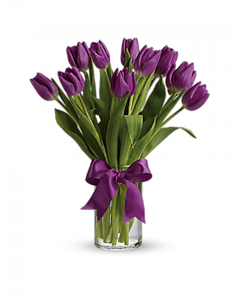 Fialové tulipány