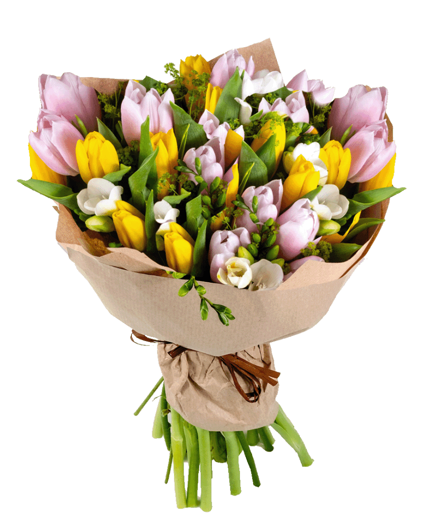 Jarní kytice tulipánů 10 Ks